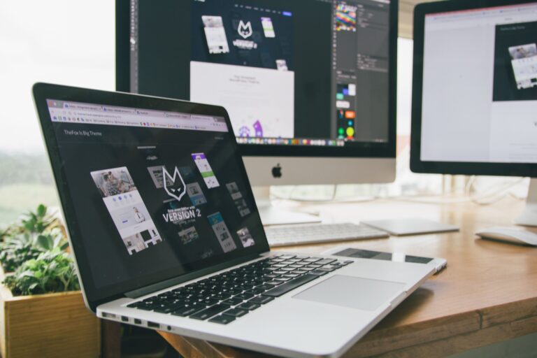 Professional Website Design Services Chandigarh